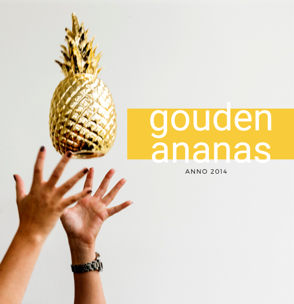 strategisch marketingbureau gouden ananas