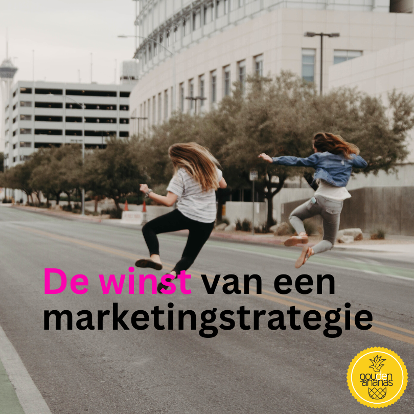 waarom is een marketingstrategie belangrijk voor mijn organisatie? goudenananas.nl