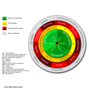 gedrag veranderen met een model behavioral change wheel goudenananas.nl