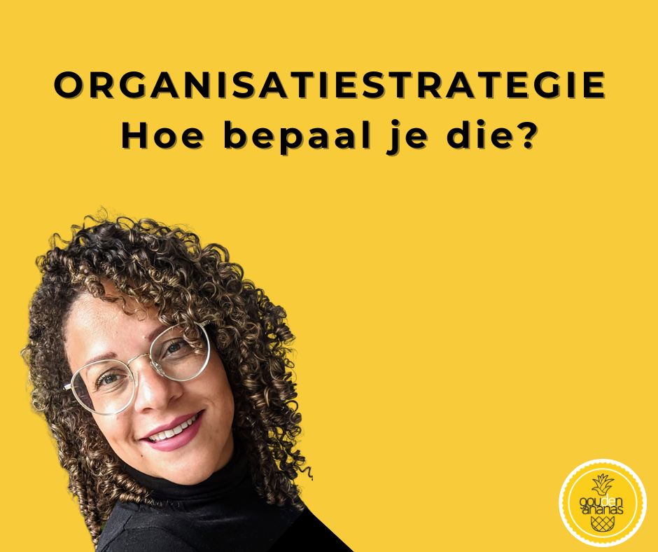 organisatiestrategie goudenananas.nl