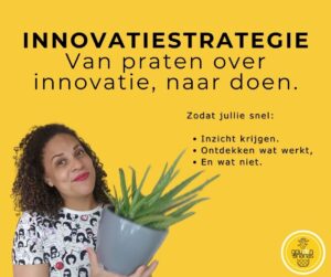innovatiestrategie goudenananas.nl
