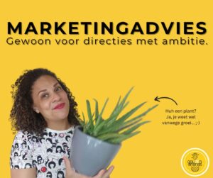 marketingadvies van marketingadviesbureau de gouden ananas