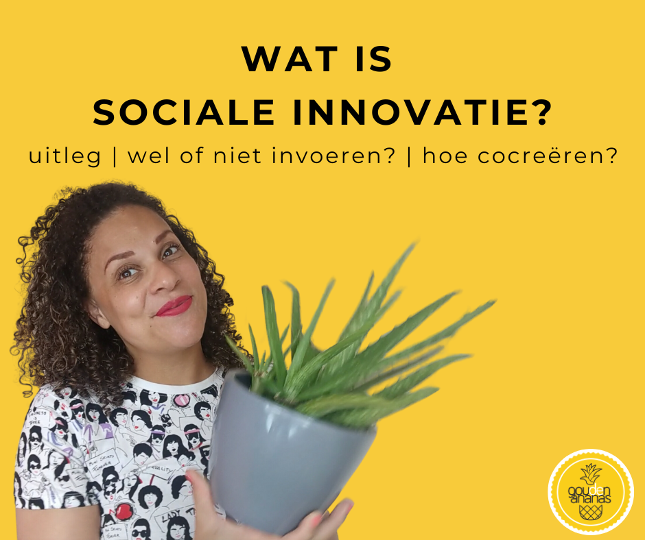 Sociale innovatie De Gouden Ananas legt de betekenis uit